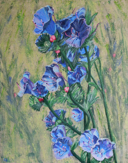 Painting: Echium Gentianoides, La Palma